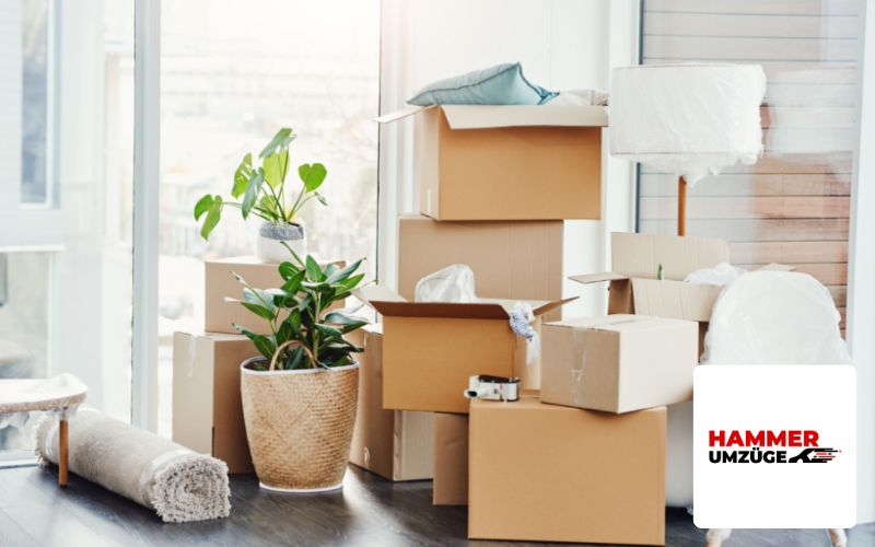 SEO Agentur Rosenheim Referenz Umzugsunternehmen